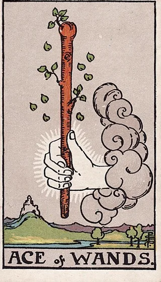 Ace of Wands